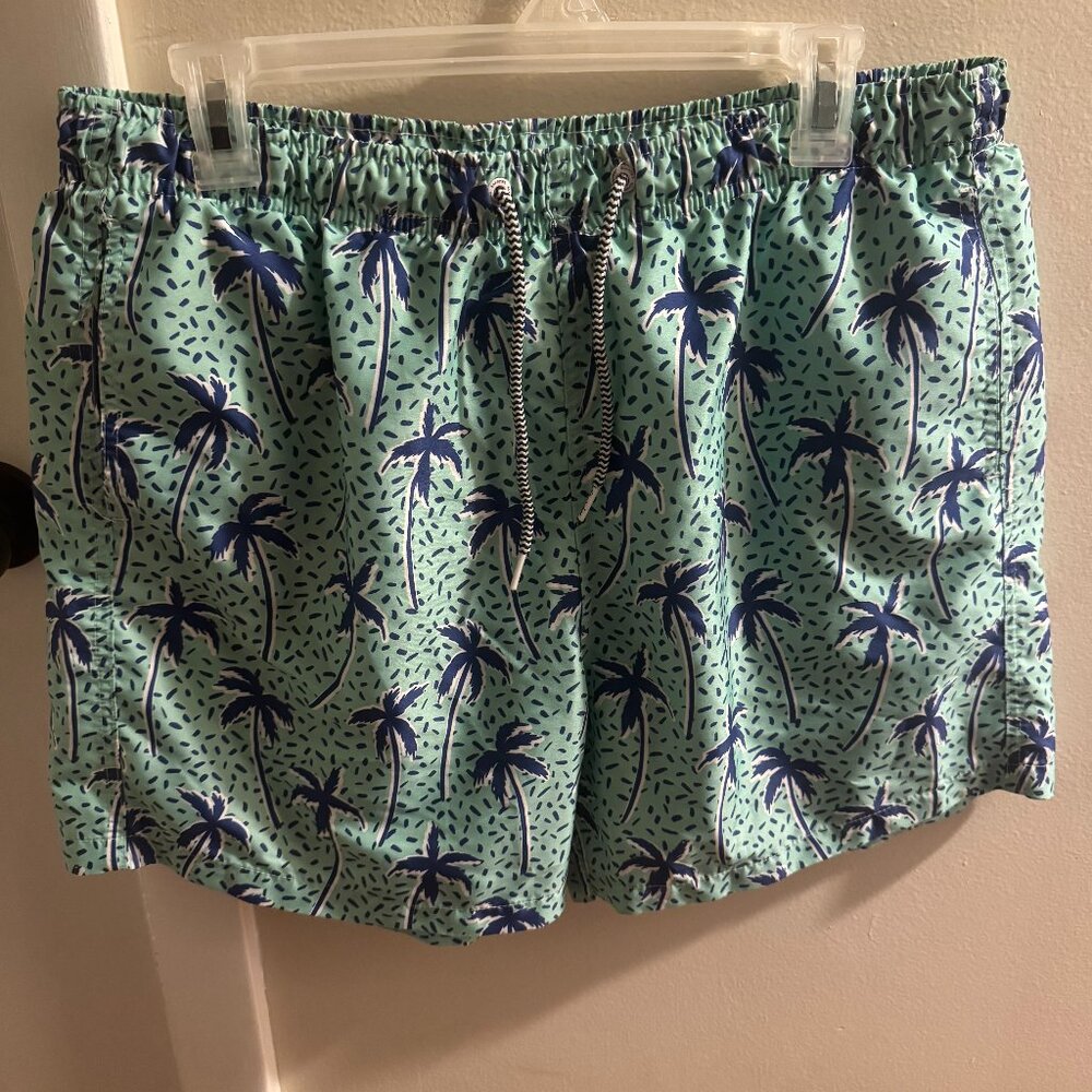 Boardies Men's Swinsuit